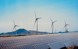 Áp lực từ 10.000 tỷ đồng trái phiếu, dự án điện gió lớn nhất Việt Nam của Trung Nam báo lỗ 390 tỷ đồng