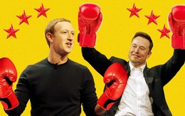 Mark Zuckerberg: Tôi cần tìm người đánh nhau cho dù có là Elon Musk hay ai khác!