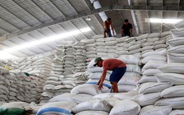 Thị trường giảm nhiệt, nhưng giá gạo tiếp tục cao