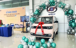 Xe điện mini HongGuang Mini EV chính thức bàn giao khách Việt