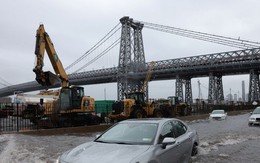 New York: Mưa lớn gây ngập lụt diện rộng, sư tử biển xổng chuồng trong sở thú
