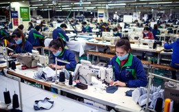 PMI Việt Nam tháng 8 vượt ngưỡng 50 điểm sau 6 tháng, liệu ngành sản xuất đã phục hồi hoàn toàn?