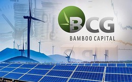 Thị giá tăng mạnh từ đáy, vợ Phó Chủ tịch Bamboo Capital muốn bán ra 2 triệu cổ phiếu BCG