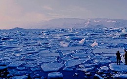 Khủng hoảng vùng cực: Liệu khí hậu nóng lên có gây ra sự lây lan của các loại virus cổ đại?