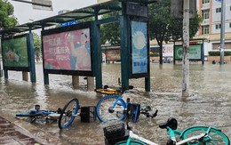 Trung Quốc: Hàng chục nghìn người sơ tán do bão Haikui