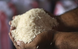 Một quốc gia châu Á giới hạn mua gạo 100kg/người do giá tăng phi mã, là khách “ruột” của gạo Việt Nam