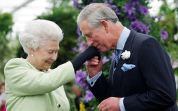 Một năm ngày mất của Nữ vương Elizabeth II, Vương thất Anh công bố bức chân dung đặc biệt