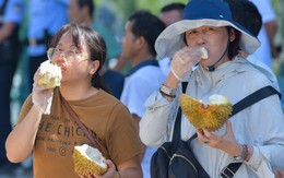 Sầu riêng nội địa Trung Quốc được khen ngon, nhưng không thể “tự chủ” trong tương lai gần