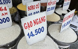 Giá gạo xuất khẩu rời đỉnh, gạo Việt Nam vẫn cao nhất thế giới