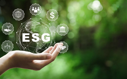 Sáng kiến ESG Việt Nam 2023: Cơ hội lớn cho hàng trăm doanh nghiệp nhỏ của Việt Nam kinh doanh bền vững