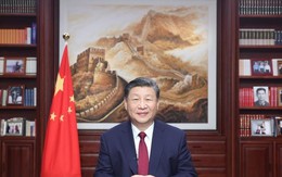 Chủ tịch Trung Quốc Tập Cận Bình: 'Nước đã trong hơn và núi đã xanh hơn'
