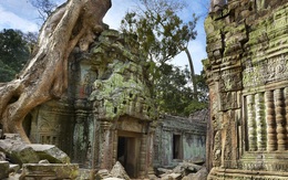 Campuchia: 6 báu vật sa thạch lộ diện ở nơi bất ngờ