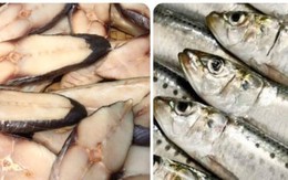 5 loại cá giàu dinh dưỡng, tốt cho sức khoẻ nên mua khi đi chợ