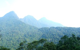 TS-KTS Đào Ngọc Nghiêm: Cần cân nhắc kỹ 2 dự án lấy hơn 100ha Vườn quốc gia Tam Đảo