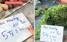 Anh bán rau treo biển 5 tỷ cho bó rau muống đột biến, dân mạng đồng loạt gọi tên Thái Công