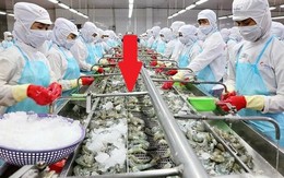 Mặt hàng của Việt Nam được 100 quốc gia nhập về ăn, doanh thu hơn 3 tỷ USD, sản lượng vượt 1 triệu tấn