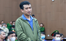 Tổng giám đốc Công ty Việt Á Phan Quốc Việt nhận thêm bản án 29 năm tù