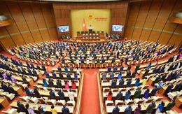 Tỉnh ủy Lâm Đồng ủy quyền người giải quyết công việc