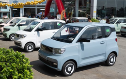 Xe điện mini chắc chắn bán chạy nếu vào thị trường này: Là 'con cưng' quốc dân, doanh số tăng trưởng mạnh
