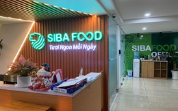 Vừa lên HoSE, Siba Group của ông Trương Sỹ Bá trình kế hoạch phát hành huy động 115 tỷ từ cổ đông để trả nợ đến hạn