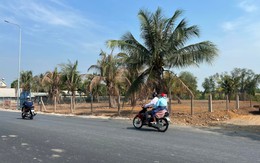 Một phân khúc BĐS tại Đà Nẵng đạt mức giá sơ cấp gần 130 triệu đồng/m2, xuất hiện nhà đầu tư “cá mập” vào gom hàng trước Tết