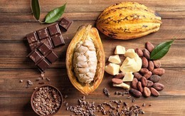 Thị trường ngày 18/1: Giá cacao lập ‘đỉnh’ mới, vàng chạm ‘đáy’ hơn một tháng