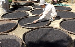 Một loại 'vàng đen' của Việt Nam được Trung Quốc liên tục săn lùng: xuất khẩu tăng nóng, cả thế giới đều phụ thuộc vào Việt Nam