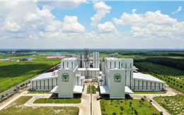 Nhờ "siêu tổ hợp" tự động, C.P. Việt Nam chinh phục người dùng toàn cầu