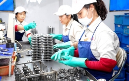 306 doanh nghiệp Việt Nam trở thành nhà cung ứng cấp 1, cấp 2 của Samsung