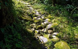Phát hiện đường đá trăm tuổi xuyên rừng ở miền Bắc: Mang dấu ấn lịch sử, du khách nhận xét như cổ tích