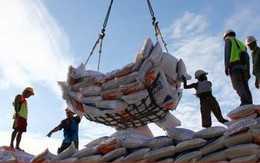 Indonesia nhập khẩu 500.000 tấn gạo từ Việt Nam và 6 nước khác