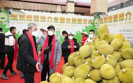 Thị trường 'trái cây vua' tại Trung Quốc: Khởi đầu từ số 0, Việt Nam giành thị phần từ tay Thái Lan