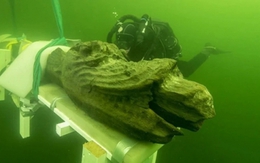 Đang lặn dưới biển, nhà khảo cổ giật mình phát hiện “thủy quái” núp trong con tàu đắm 500 tuổi