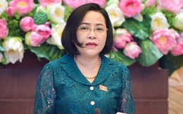 Trưởng Ban Công tác đại biểu Nguyễn Thị Thanh nhận thêm nhiệm vụ