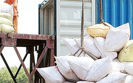 161 thương nhân đủ điều kiện xuất khẩu gạo