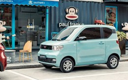 Ô tô điện rẻ nhất Việt Nam bất ngờ nhận mức giá cực khủng tại thị trường này, cao nhất tới gần 1 tỷ đồng