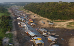 Biến đổi khí hậu gây hạn hán kỷ lục ở rừng nhiệt đới Amazon