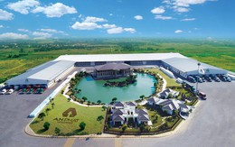 Doanh nghiệp “họ” An Phát Holdings đồng loạt báo kết quả kinh doanh tích cực trong năm 2023