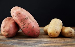 Khoai lang hay khoai tây tốt cho sức khỏe hơn? Lý giải từ chuyên gia khiến nhiều người bất ngờ
