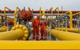 Trung Quốc phát hiện mỏ dầu trữ lượng hơn 100 triệu tấn