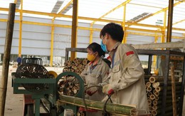 Hơn 4.000 lao động bị nợ lương, thưởng Tết cao nhất hơn 371 triệu đồng ở Thanh Hóa