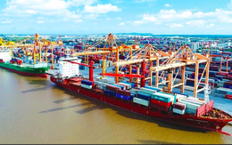 CEO hãng vận tải biển lớn nhất Việt Nam nói về mục tiêu doanh thu