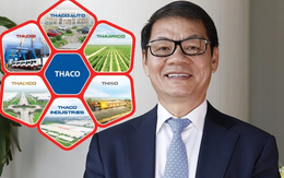 Không chỉ làm DA bô-xít 50.000 tỷ tại Lâm Đồng, THACO muốn xây cả Tổ hợp kinh tế tuần hoàn 100.000 tỷ