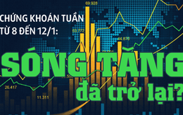 Infographic: Chứng khoán tuần tới (8 đến 12-1): Sóng tăng đã trở lại?