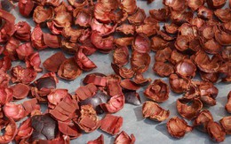 1 loại quả tuy ngọt nhưng lại giúp hạ đường huyết, “thuốc” chống ung thư tự nhiên: Rất sẵn ở chợ Việt