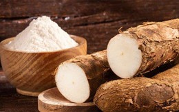 Doanh nghiệp sản xuất tinh bột sắn lớn nhất Việt Nam sắp tạm ứng cổ tức tỷ lệ 20% bằng tiền mặt