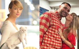 Mèo cưng của Taylor Swift có giá trị tài sản ròng gấp đôi bạn trai nữ ca sĩ