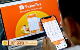 Shopee dẫn đầu ngành TMĐT, lãi đậm 3.000 tỷ đồng: Đây là cách “mê hoặc” các chiến thần, khiến chị em quay cuồng chốt đơn lia lịa, có người chi tiêu cả trăm triệu/năm