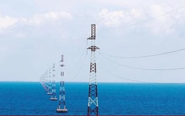 Chính phủ đề xuất giao hơn 2.500 tỷ đồng cho EVN để kéo điện ra Côn Đảo