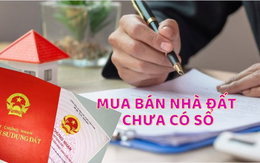 Từ ngày 4/10, bán đất không sổ đỏ bị phạt tới 100 triệu đồng